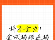 角逐中的双方拼尽全力，难分伯仲的简单介绍