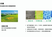 人工智能在考古发掘中的革命性应用