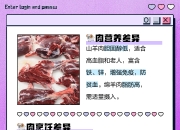 功能用途的区别 功能与应用意思一样吗 