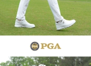 pga的pgm的区别 pga和lpga的区别 