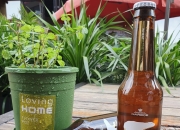 bear和beer区别 bear和beer的发音不一样 