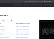 idea不同版本区别 intellij idea有哪些不同的版本 