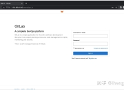 gitlabsvn区别 gitlab vs2019 
