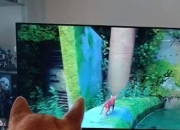当我把家改成声控模式：猫主子学会开灯之后...的简单介绍