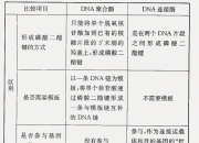 组合与聚合区别 聚合和组合关系的主要区别是什么 