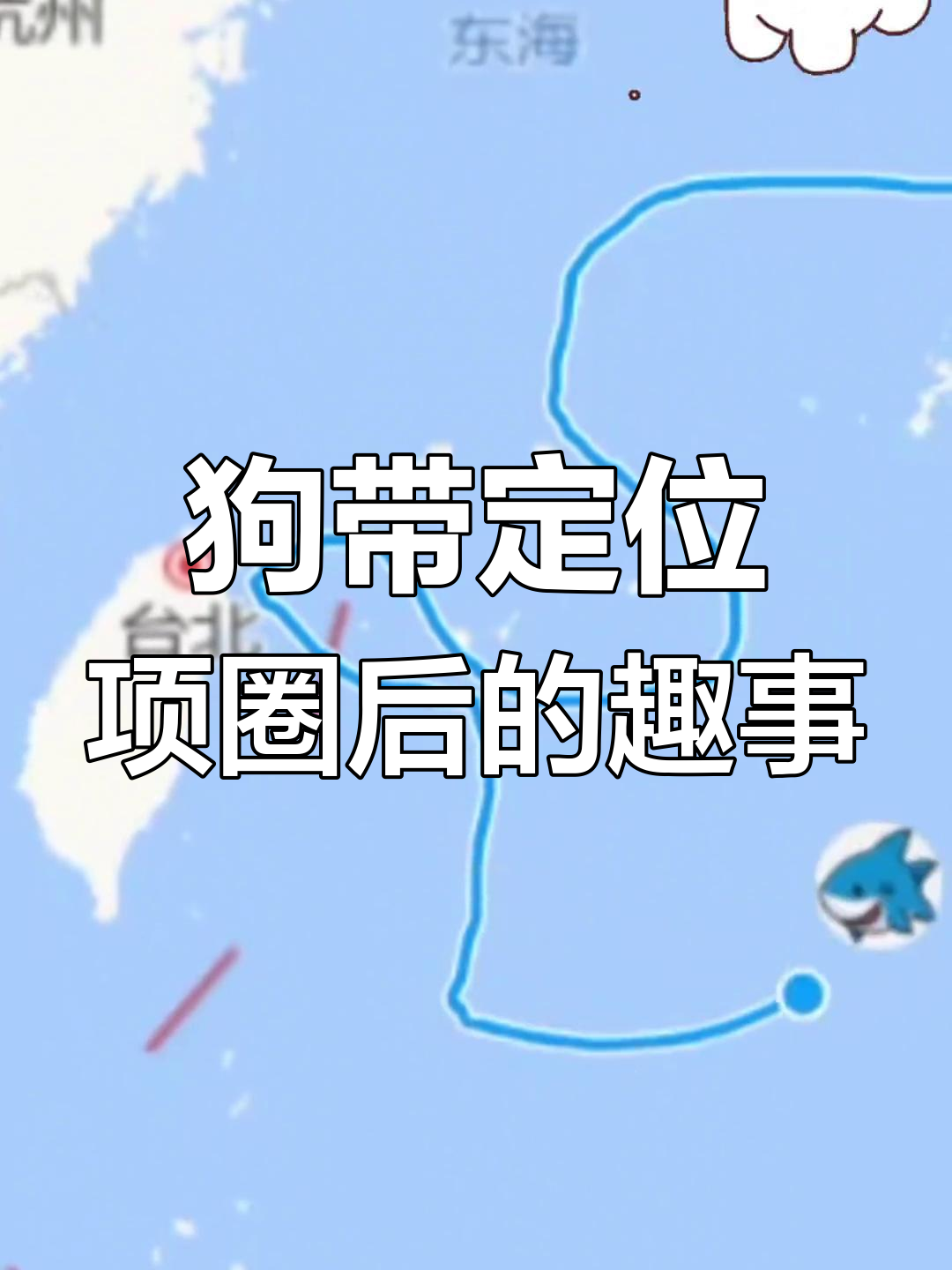 关于给狗子买智能项圈，现在它学会自己点外卖的信息