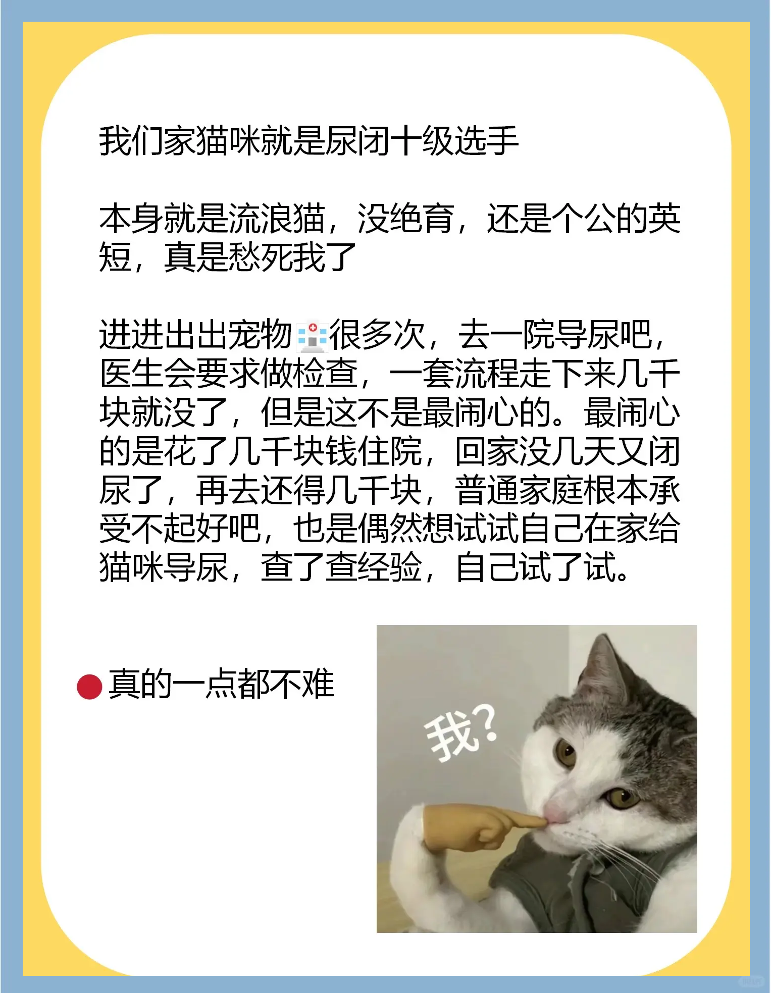 包含给猫主子买智能厕所，结果它坚持要用人用的的词条