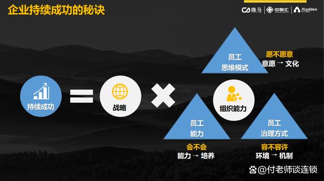 团队和组织的区别