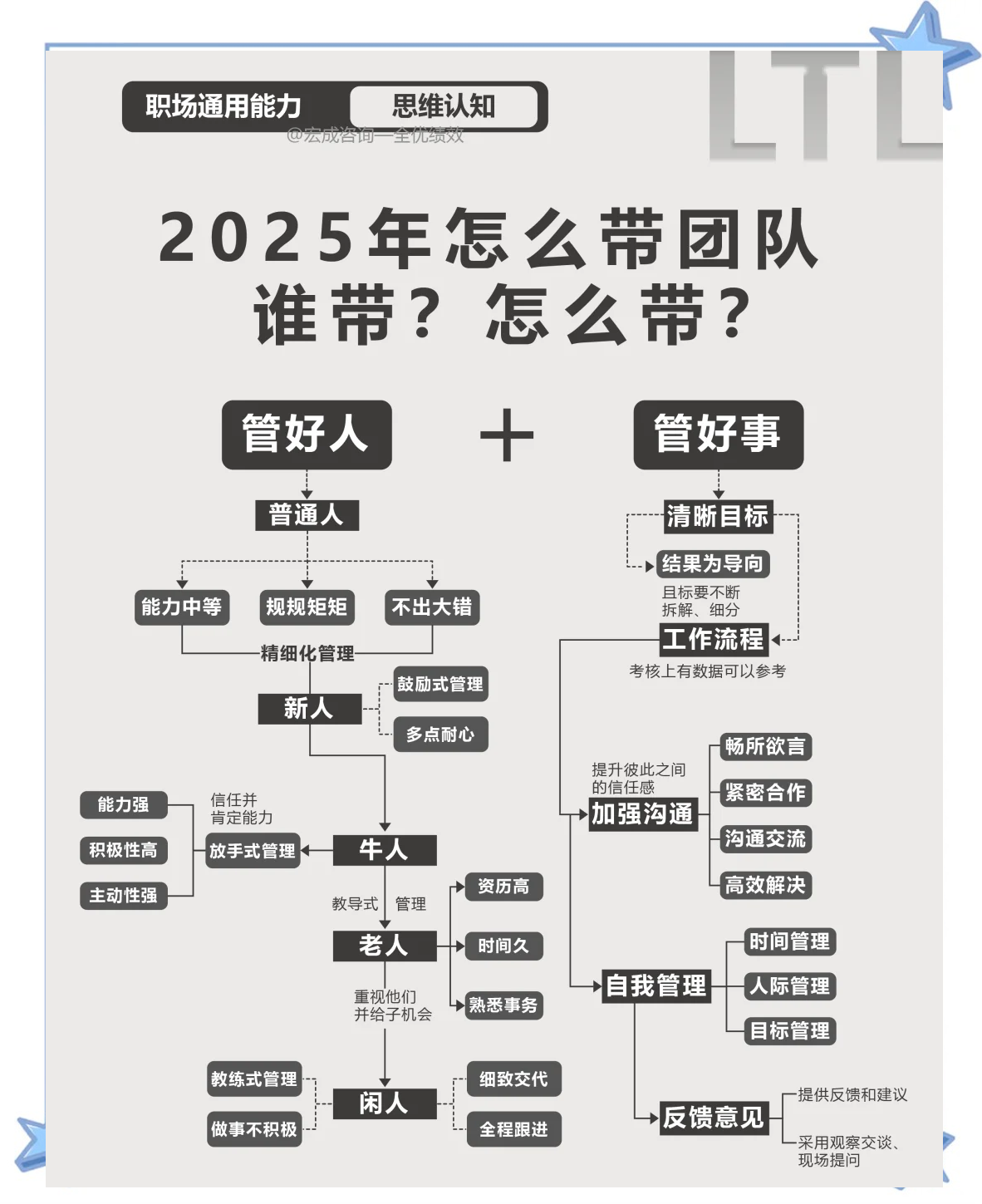 团队和组织的区别