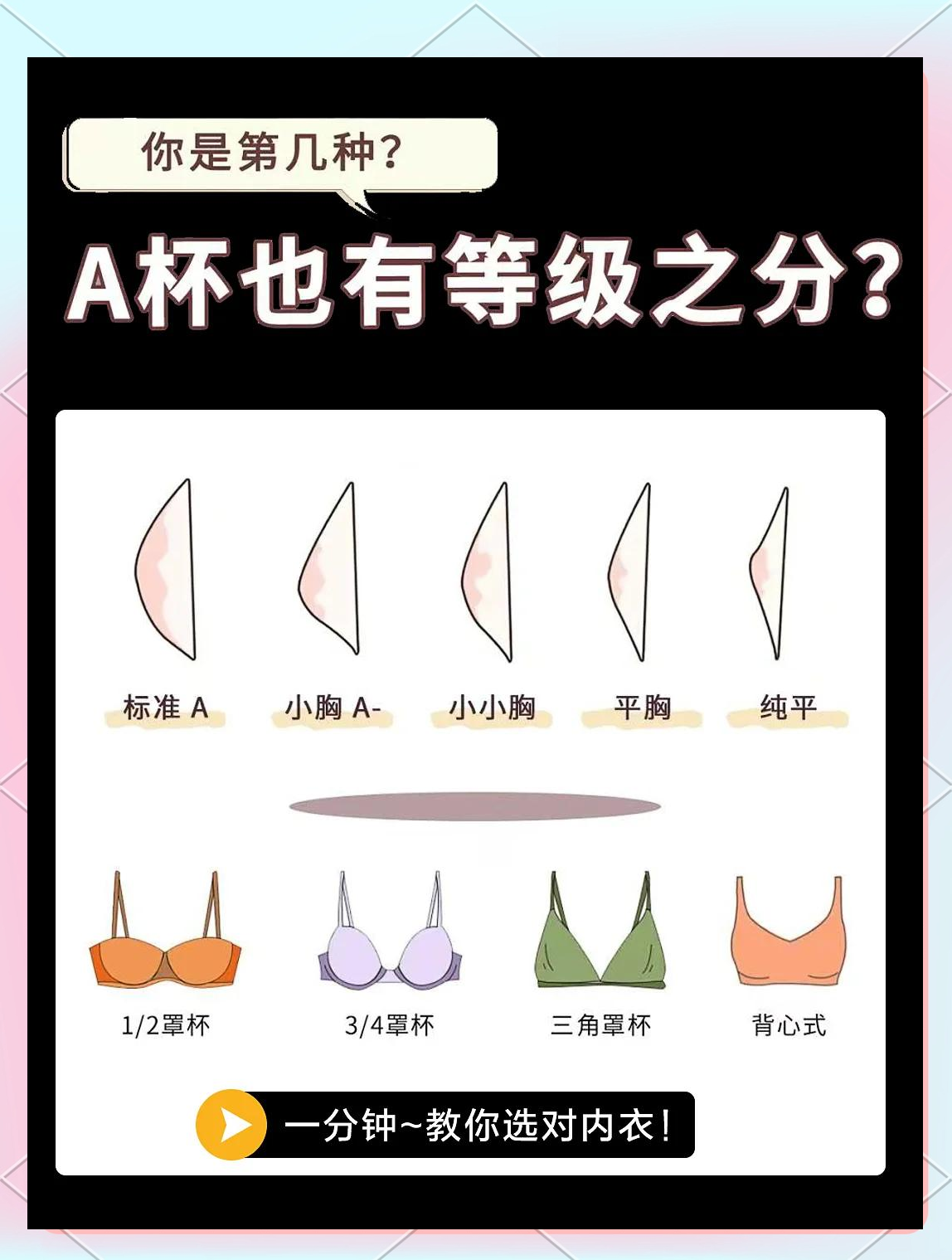 a和a的区别 肉松3a和a的区别 