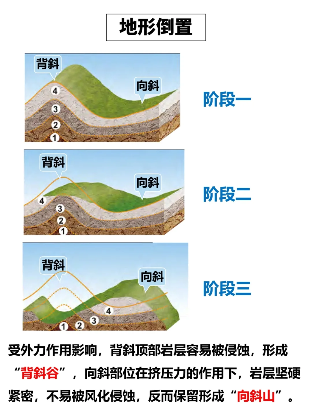 斜线的区别 顶颞前斜线和顶颞后斜线的区别 