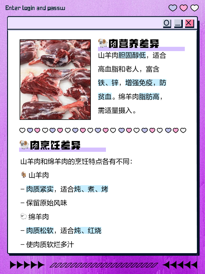 功能用途的区别 功能与应用意思一样吗 