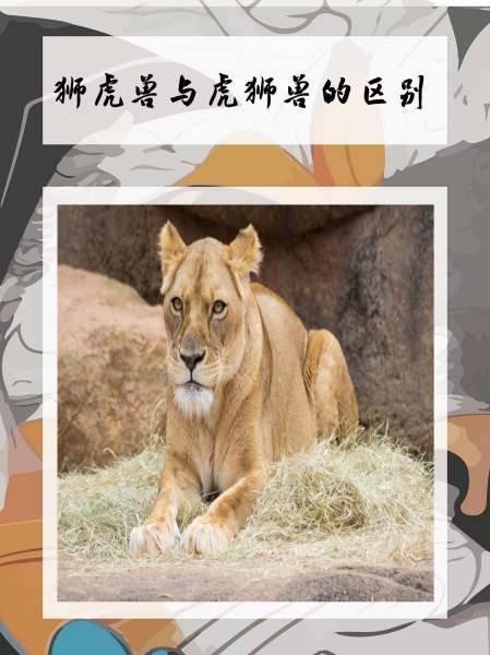已于和已与的区别 已和以什么区别口诀 