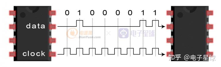 spiiicuart区别 spicy和spiced的区别 