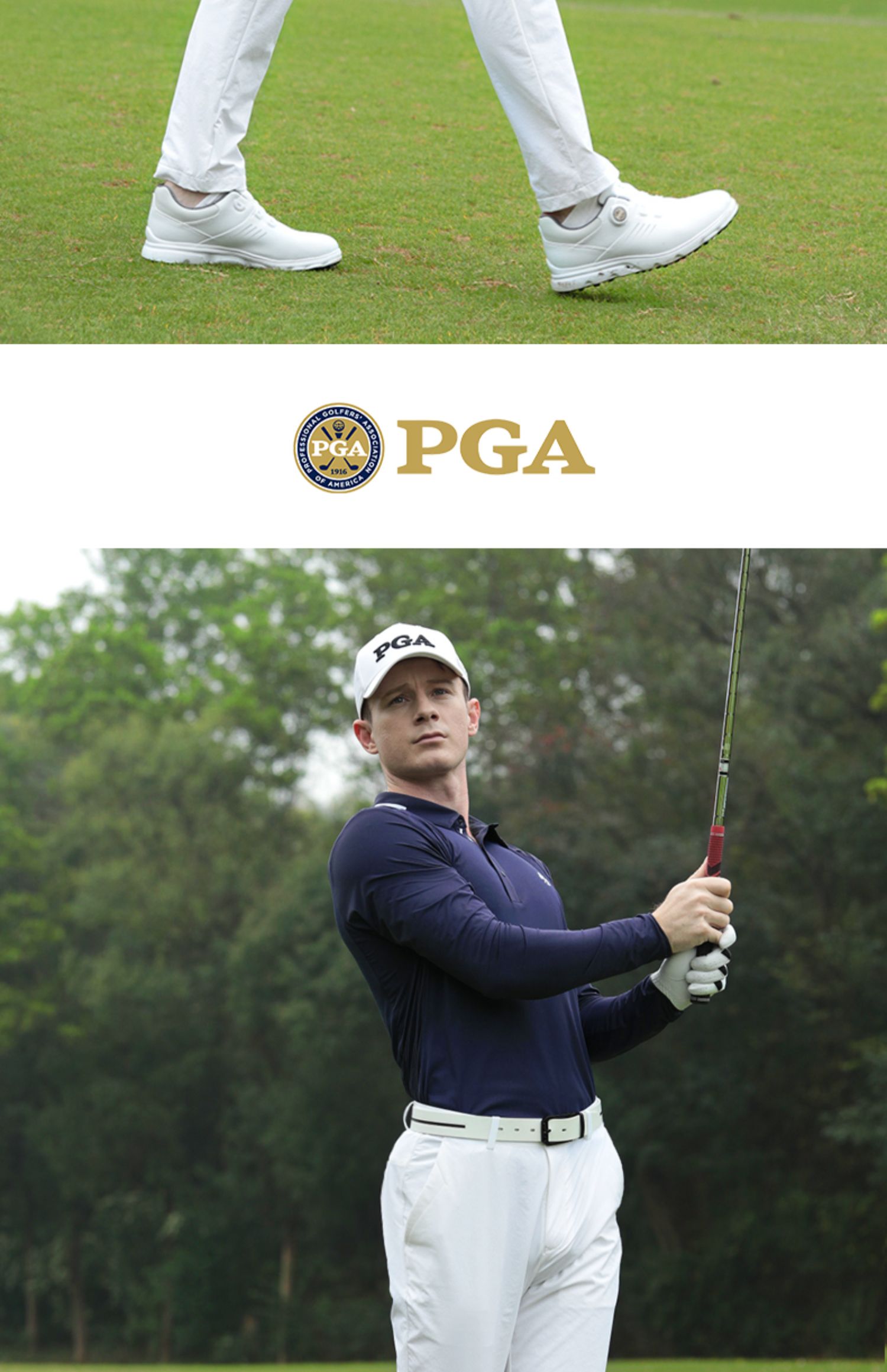 pga的pgm的区别 pga和lpga的区别 
