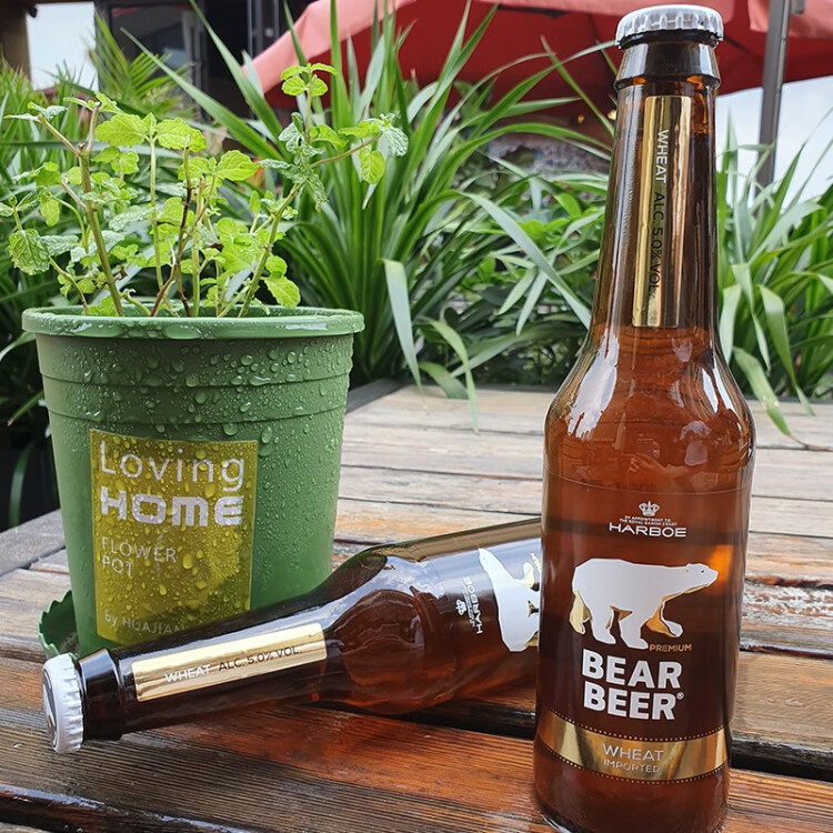 bear和beer区别 bear和beer的发音不一样 