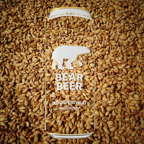 bear和beer区别 bear和beer的发音不一样 