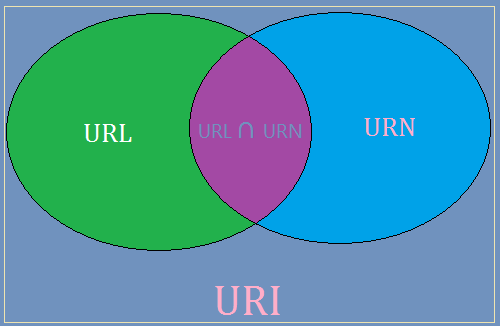 uriurlurn区别 ureter和urethra区别 