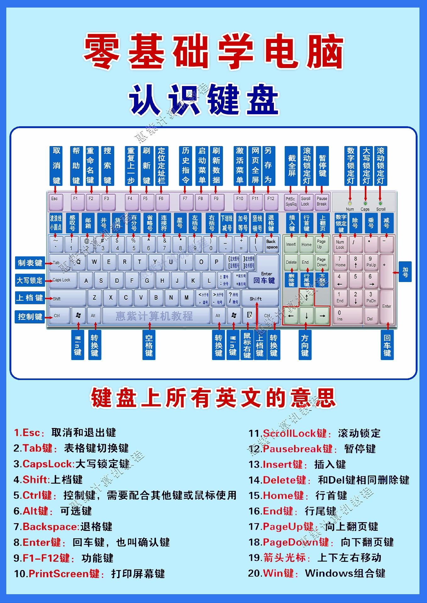 索引和主键的区别 主键索引和普通索引效率一致 