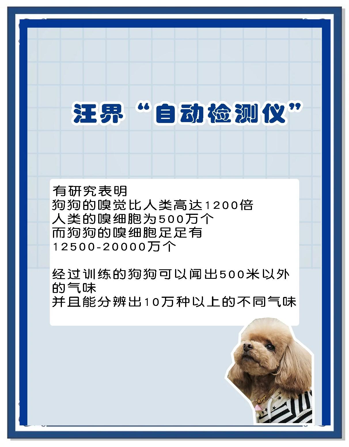 灵活的嗅觉区别 嗅觉比一般人灵敏 