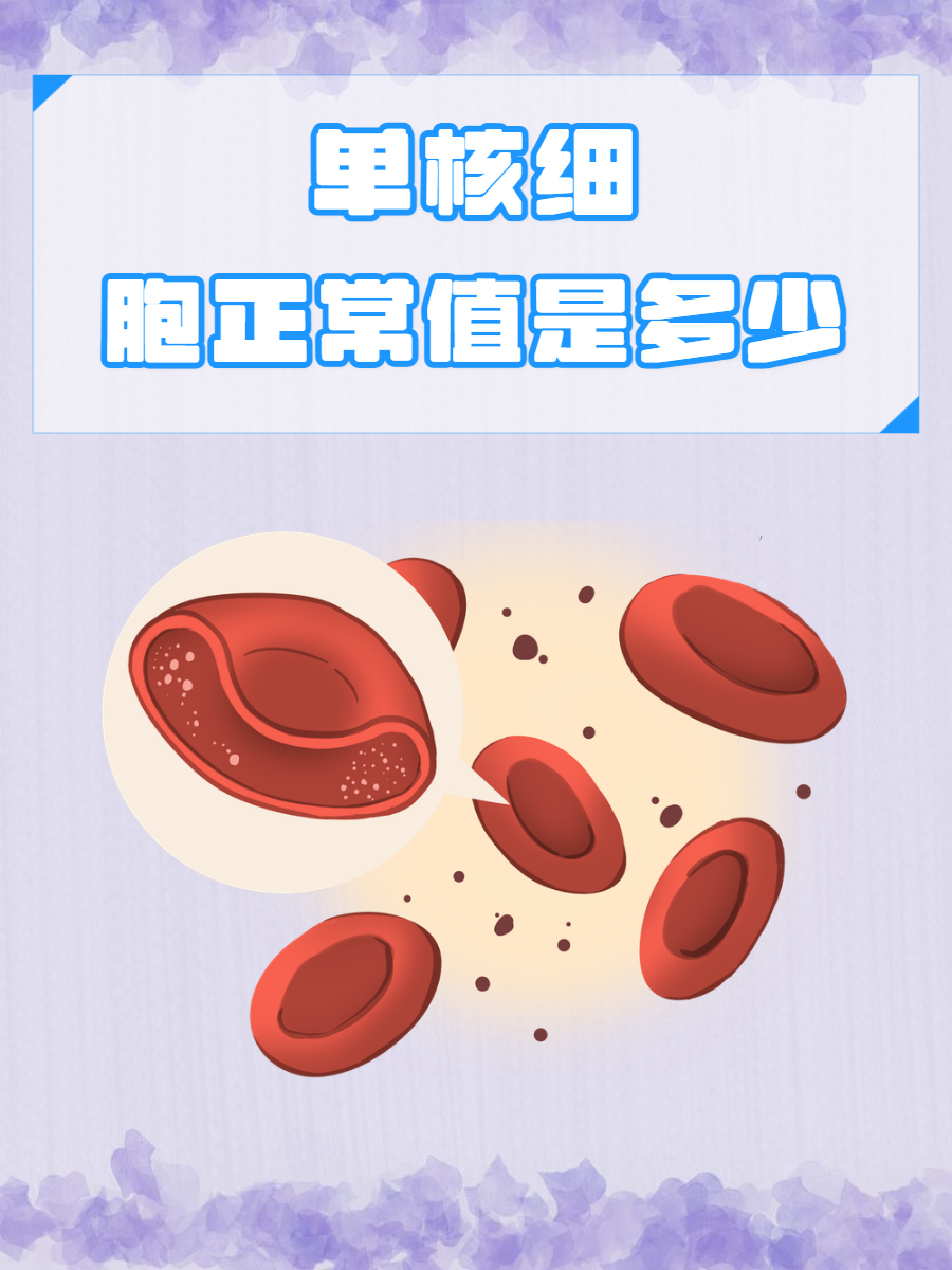 双核单核的区别 双核比单核快多少 