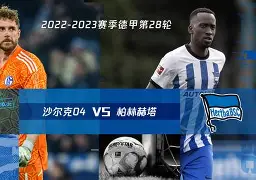 沙尔克战术调整成功，反弹迹象明显的简单介绍