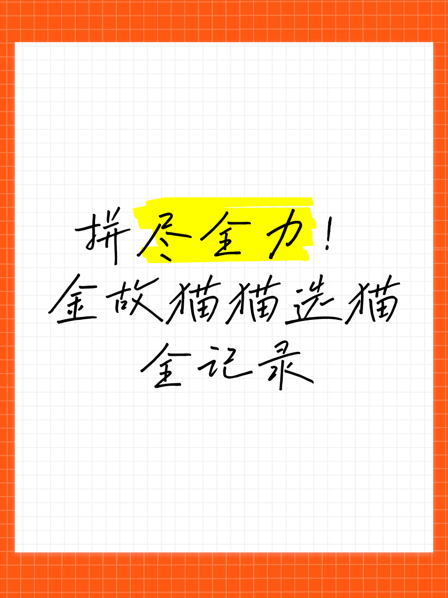 角逐中的双方拼尽全力，难分伯仲的简单介绍
